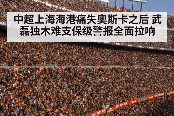 football stadium crowd