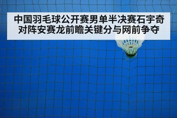 badminton net shot